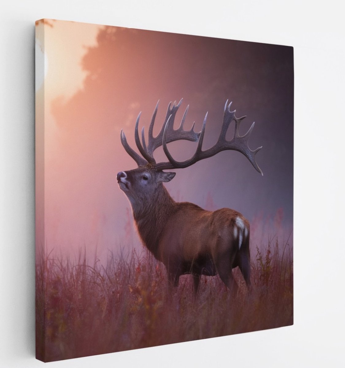 Saammp Canvas Schilderij - Hert in zonsopgang - Natuur - Dierenen - 60x60 - Foto op canvas