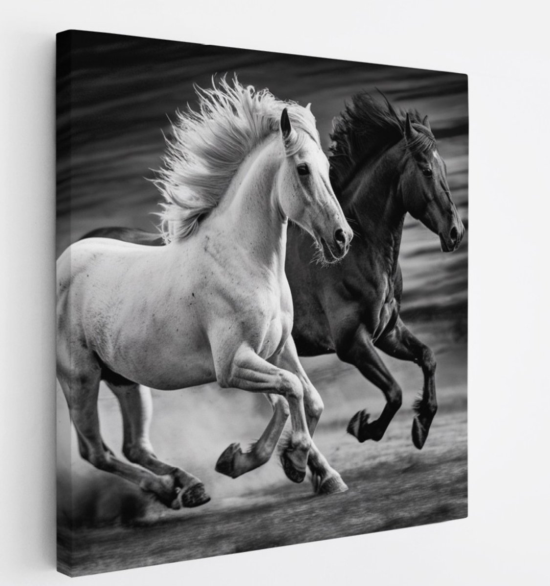 Saammp Canvas Schilderij - 2 paarden - Zwart - Wit- Dieren - Natuur - 40x40 - Foto op canvas - Wanddecoratie - muurdecoratie Woonkamer - Slaapkamer decoratie - Canvas Print Multicolor