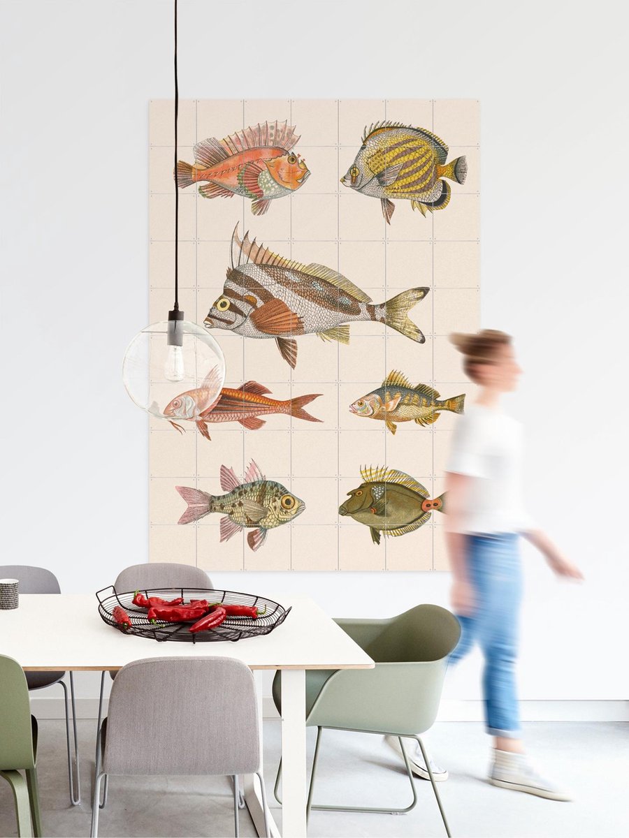 IXXI Zoologie XXXXIIII - Poissons, Aster Edition - 80 x 100 cm - Gratis ophangtool - Grote wanddecoratie en posters - Vintage, Illustraties
