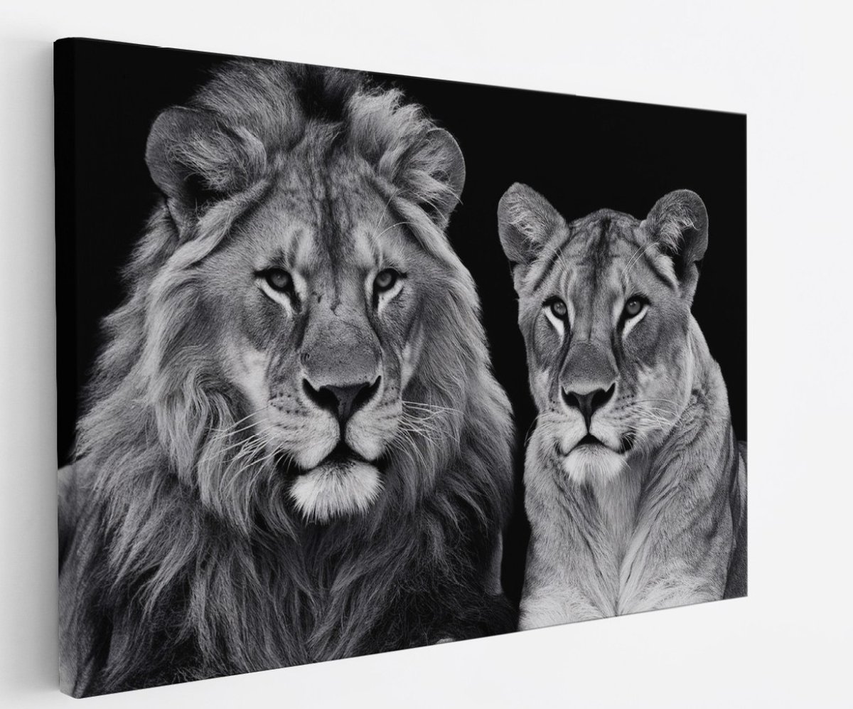 Saammp Canvas Schilderij - Leeuw en Leeuwin - Zwart-wit - Dieren - Natuur - 70x50 - Foto op canvas - Wanddecoratie - Muurdecoratie Woonkamer - Slaapkamer decoratie - Canvas Print Multicolor
