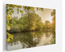 Saammp Canvas Schilderij - Zwaan in zonsondergang - Natuur - Dieren - 120x80 - Foto op canvas - Wanddecoratie - Muurdecoratie Woonkamer - Slaapkamer decoratie - Canvas Print