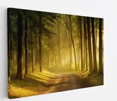 120 cm x 80 cm