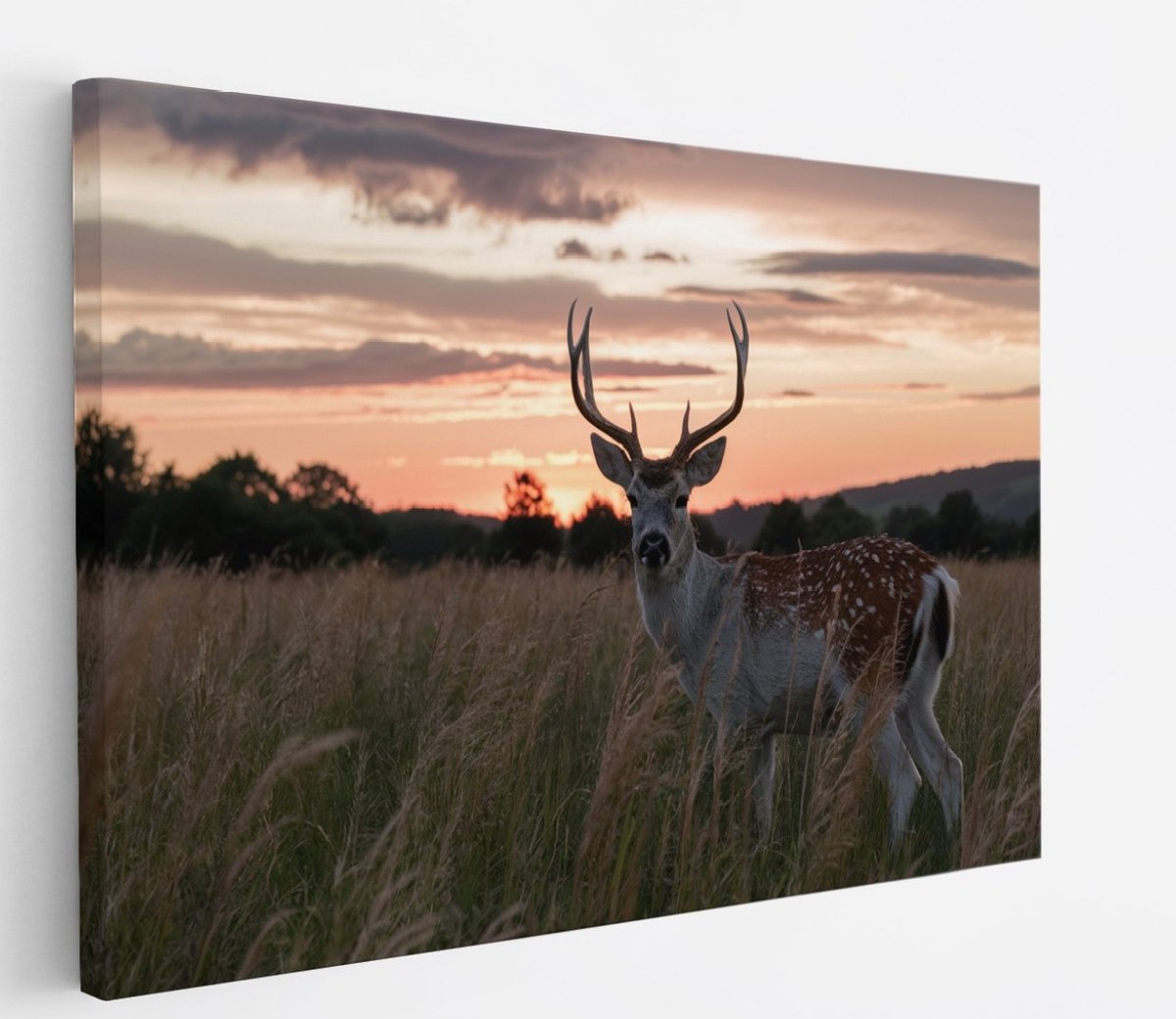 Saammp Canvas Schilderij - jong hert met zonsondergang - Natuur - Dieren - 90x60 - Foto op canvas - Wanddecoratie - Muurdecoratie Woonkamer - Slaapkamer decoratie - Canvas Print Multicolor