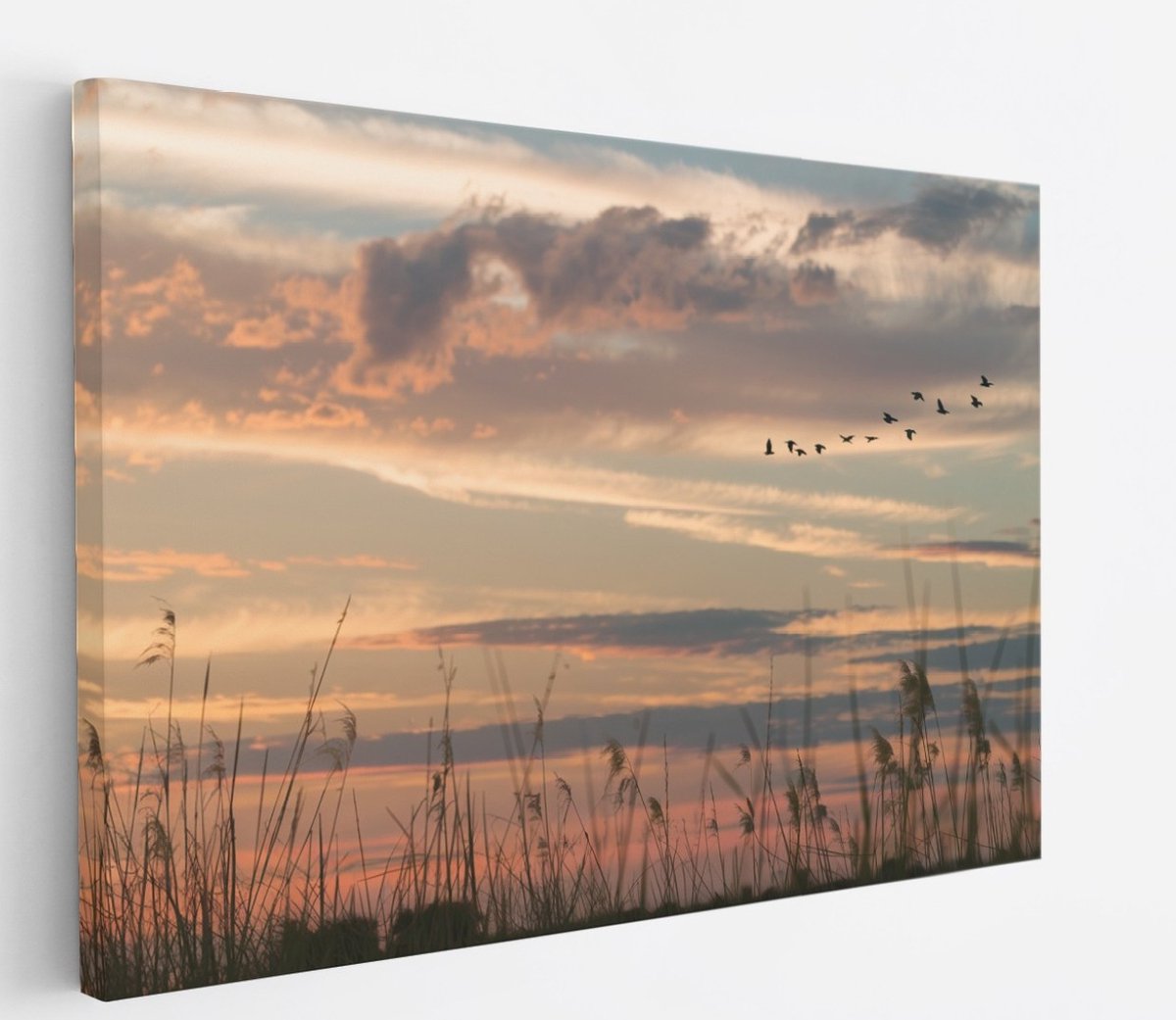 Saammp Canvas Schilderij -Vogels tijdens Golden hour - Zonsondergang - Landschap - Natuur - 50x40 - Foto op canvas - Wanddecoratie - Muurdecoratie Woonkamer - Slaapkamer decoratie - Canvas Print Multicolor