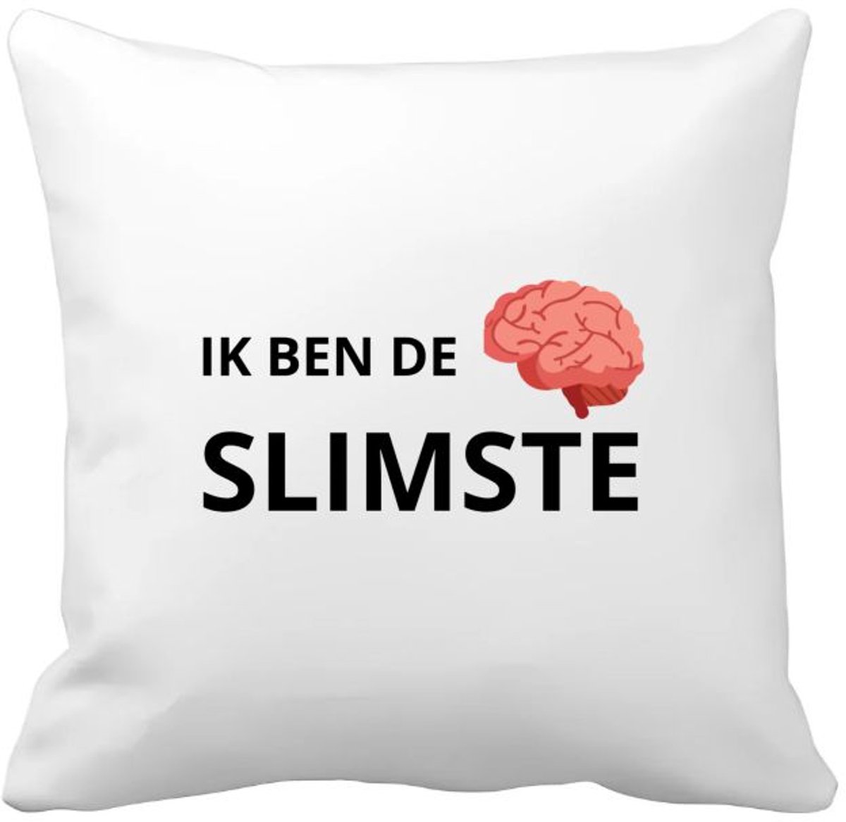 Akyol ik ben de slimste Kussen hoes - Quotes - slimme mensen - de slimste - verjaardagscadeau - verjaardag - cadeau - kado - geschenk - gift - 40 bij 40 cm Multicolor