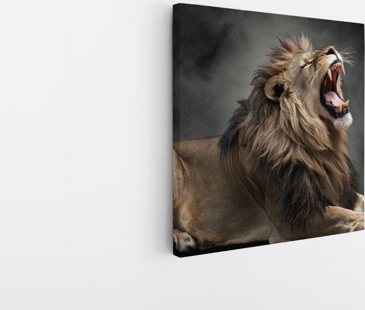 Saammp Canvas Schilderij - Grommende Leeuw - Mist - Dieren - Natuur - 40x40 - Foto op canvas - Wanddecoratie - Muurdecoratie Woonkamer - Slaapkamer decoratie - Canvas Print Multicolor