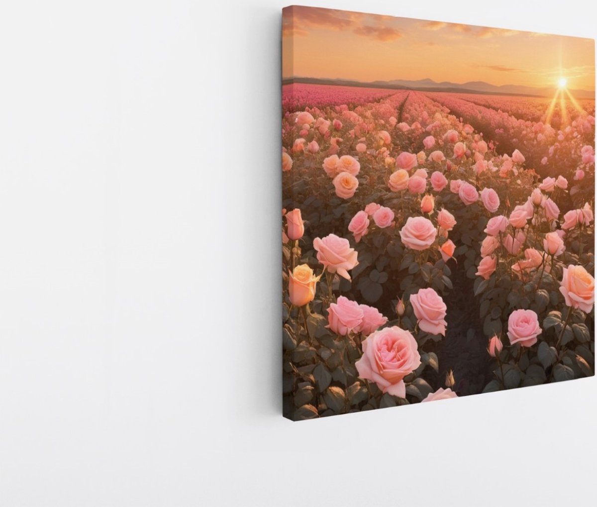 Saammp Canvas Schilderij - Landschap -Bloemen - Roze - Zonsondergang - Natuur - 60x60 - Foto op canvas - Wanddecoratie - Muurdecoratie Woonkamer - Slaapkamer decoratie - Canvas Print Multicolor