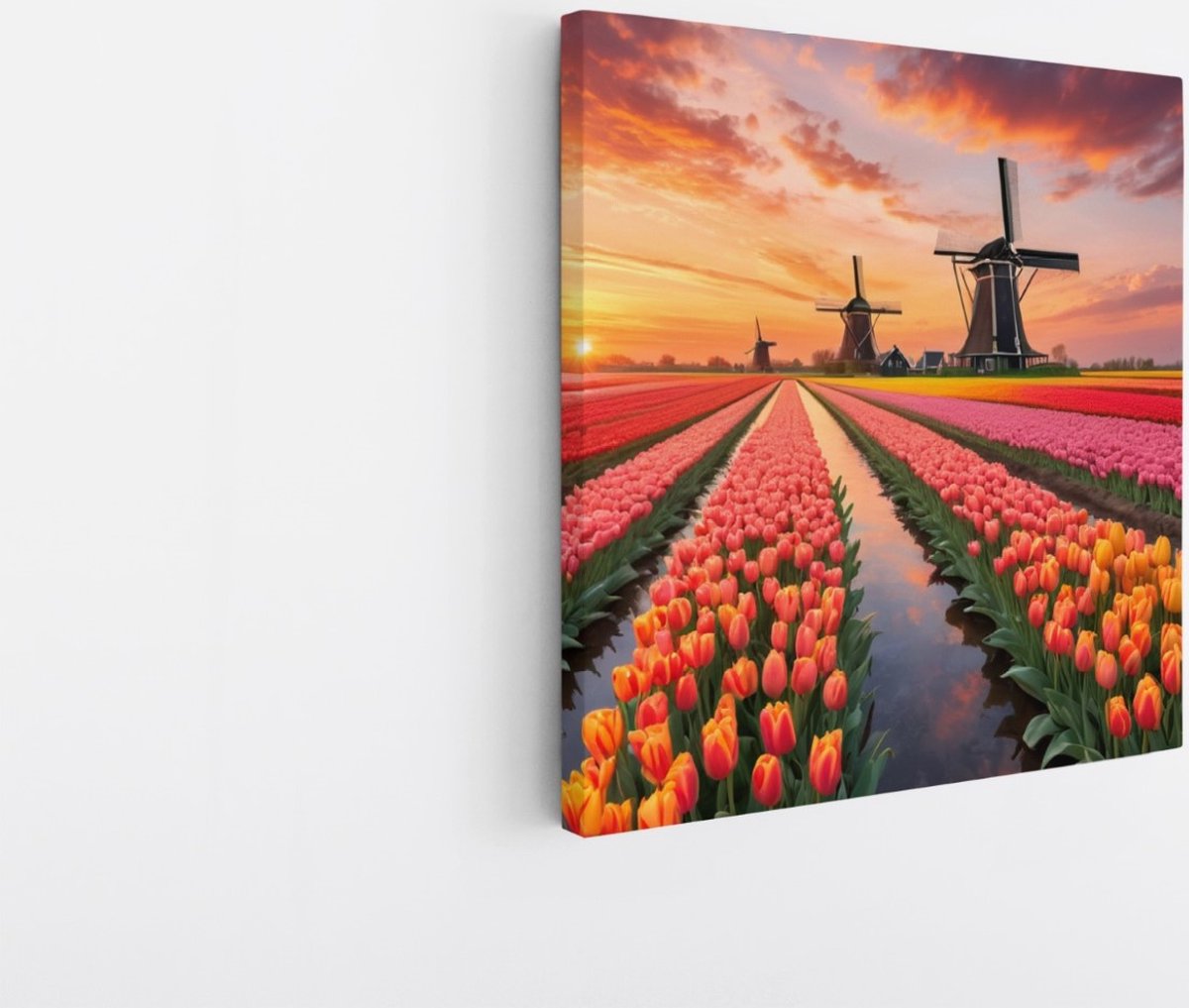 Saammp Canvas Schilderij - Landschap - bloemenveld met molens en een zonsondergang - Natuur - 40x40 - Foto op canvas - Wanddecoratie - Muurdecoratie Woonkamer - Slaapkamer decoratie - Canvas Print Multicolor