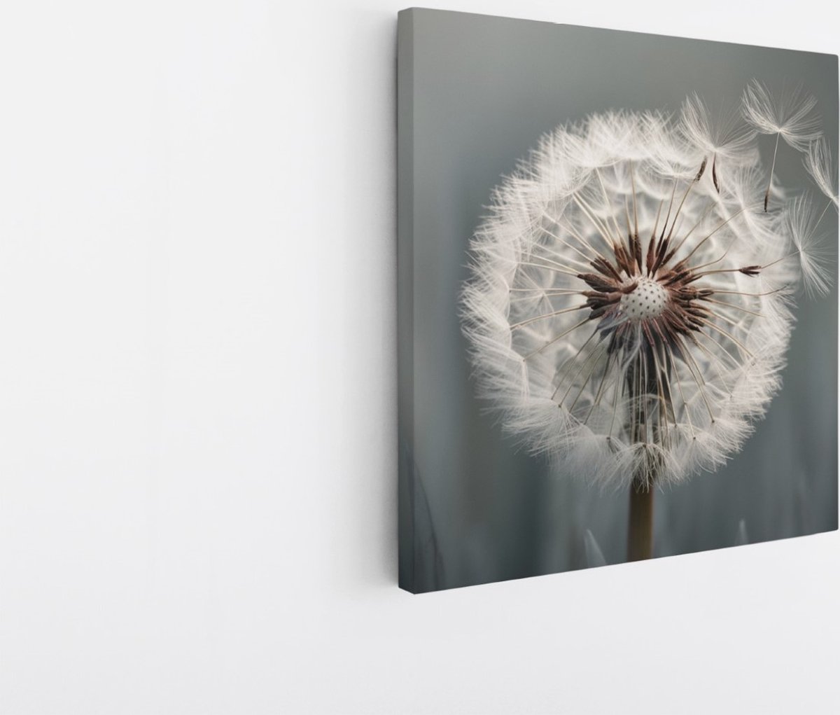Saammp Canvas Schilderij - Abstracte Paardenbloem in Wind - Natuur - Abstract - 40x40 - Foto op canvas - Wanddecoratie - Muurdecoratie Woonkamer - Kantoor Decoratie Multicolor