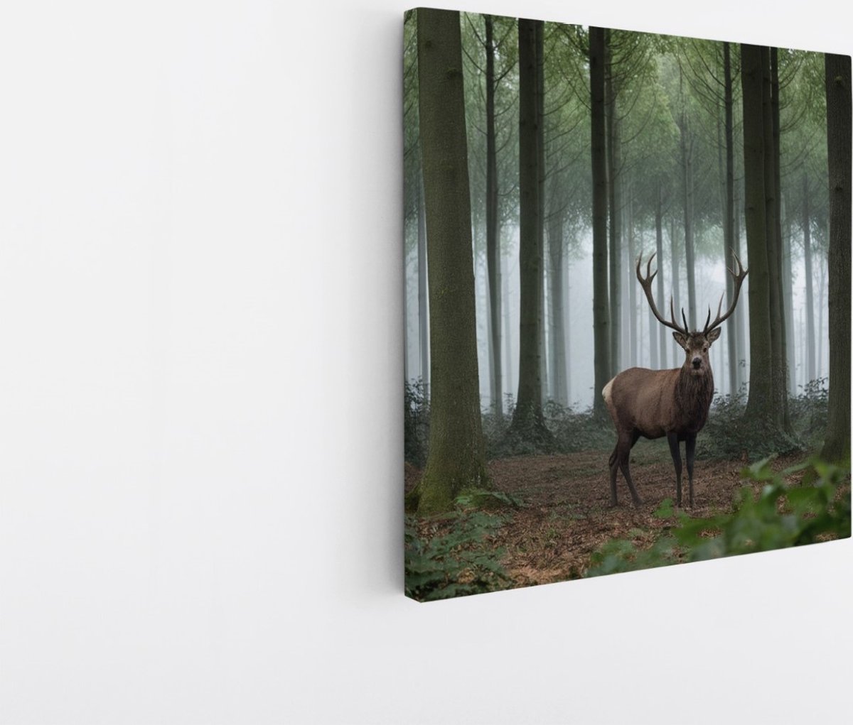 Saammp Canvas Schilderij - Hert in de Natuur - Dieren - 30x30 - Foto op canvas - Wanddecoratie - Muurdecoratie Woonkamer - Slaapkamer decoratie - Canvas Print Multicolor