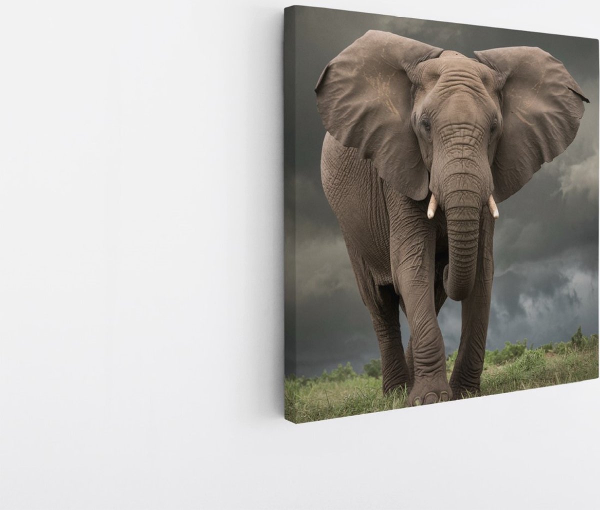 Saammp Canvas Schilderij - Olifant tijdens Storm - Afrika - Dieren - 20x20 - Foto op canvas - Wanddecoratie - muurdecoratie Woonkamer - Slaapkamer decoratie - Canvas Print Multicolor