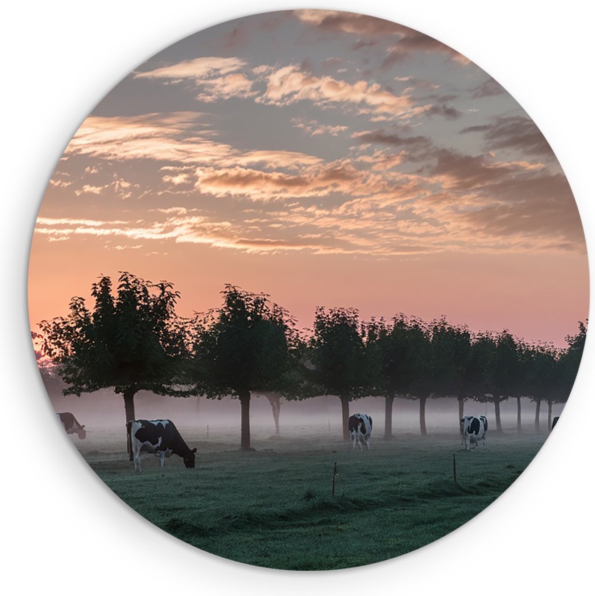 Saammp Muurcirkel Hout - Koeien met mooie lucht - Natuur - nederland - Ø 70 - Wandcirkel - Wanddecoratie Cirkel - Muurdecoratie Woonkamer - Slaapkamer decoratie - Rond Schilderij
