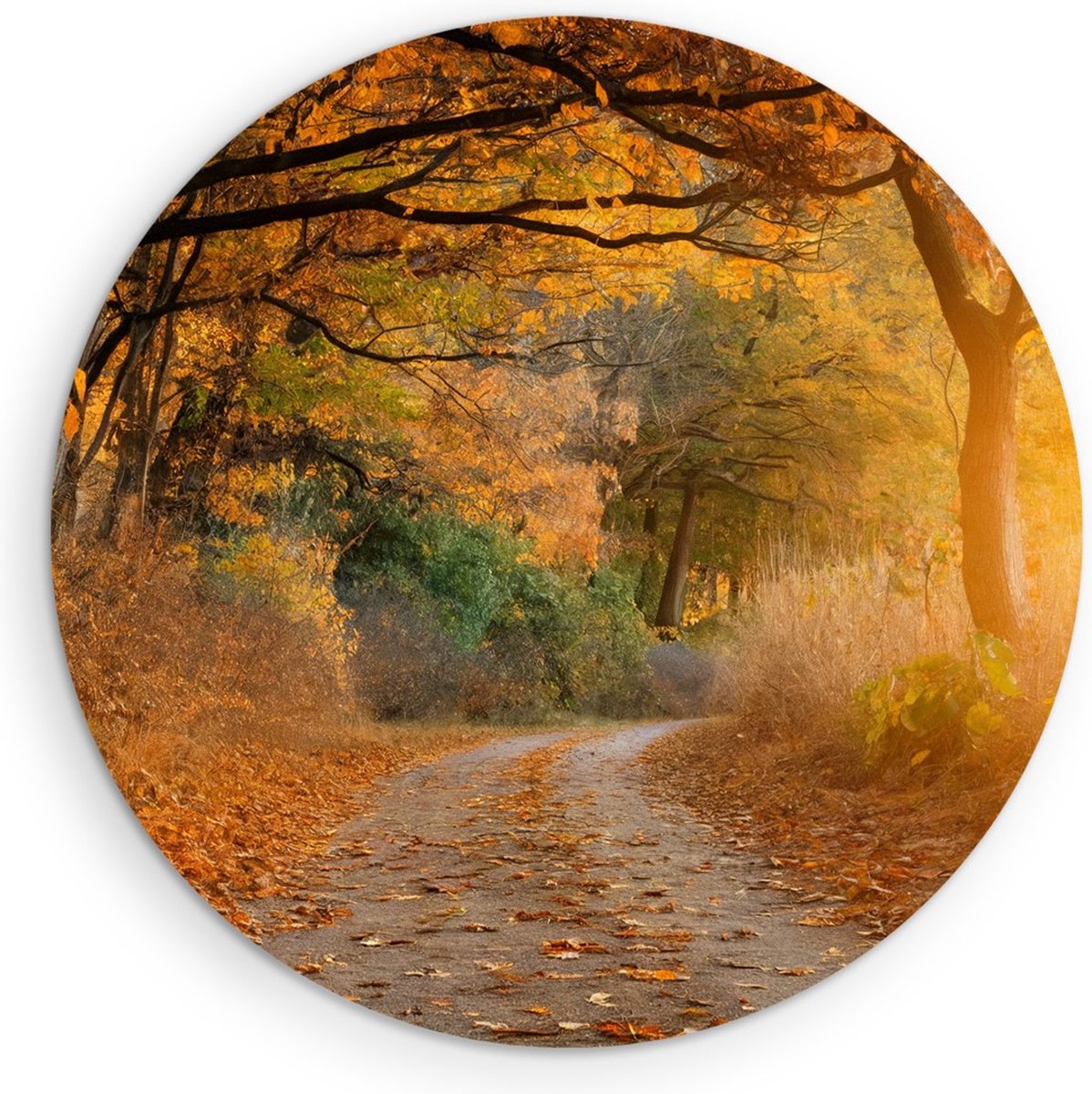 Saammp Forex Muurcirkel - Weg door het bos - Herfst - Landschap - Natuur - Ø 50 - Wandcirkel - Wanddecoratie Cirkel - Muurdecoratie Woonkamer - Slaapkamer decoratie - Rond Schilderij
