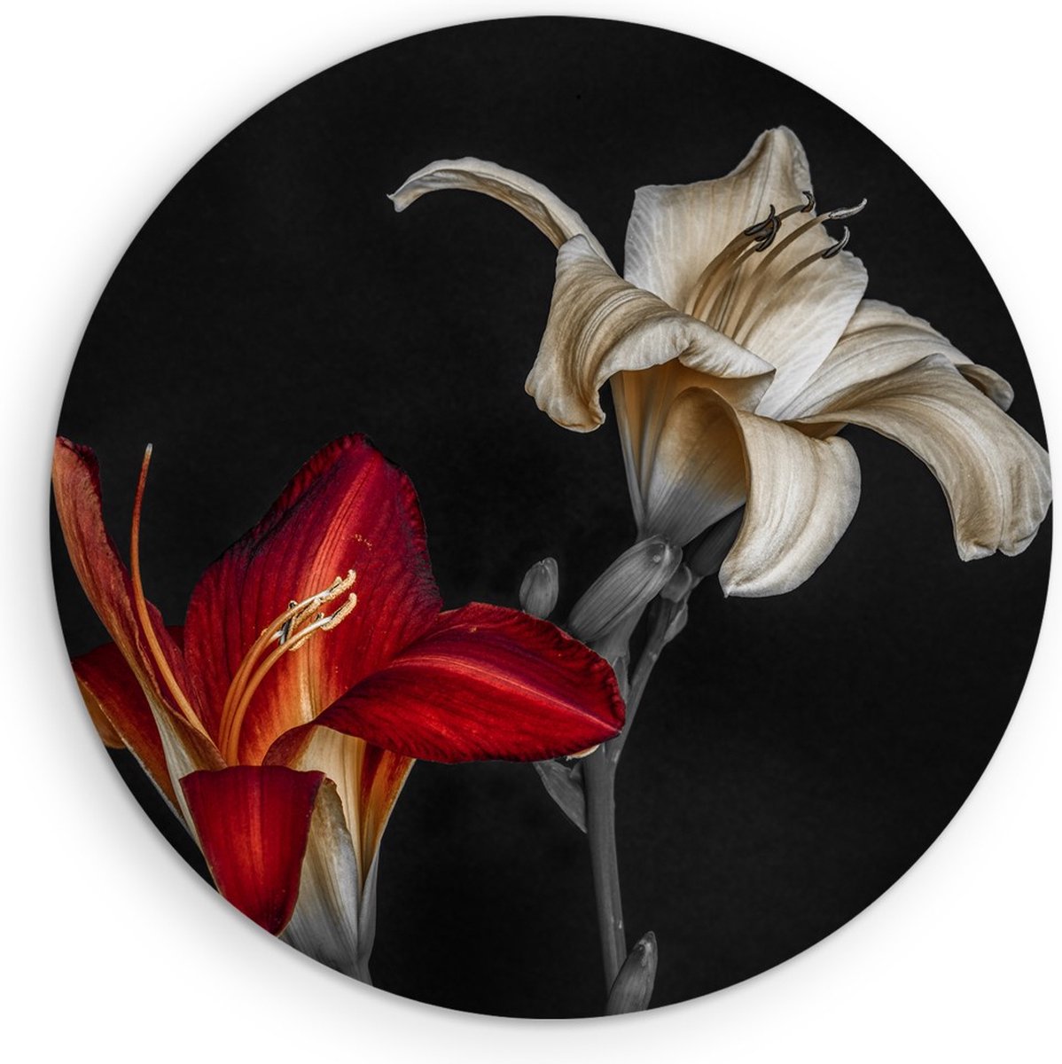 Saammp Muurcirkel Hout - Bloemen - Natuur - Ø 40 - Wandcirkel - Wanddecoratie Cirkel - Muurdecoratie Woonkamer - Kantoor Decoratie