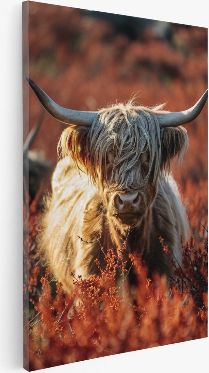 Saammp Canvas Schilderij - Schotse hooglander koe - Rode Bloemen - Dieren - 20x30 - Foto op canvas - Wanddecoratie - Muurdecoratie Woonkamer - Slaapkamer decoratie - Canvas Print Multicolor