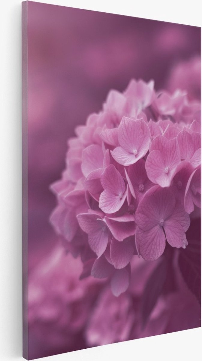 Saammp Canvas Schilderij - Roze bloemenveld - Natuur - Bloemen - 20x30 - Foto op canvas - Wanddecoratie - Muurdecoratie Woonkamer - Kantoor Decoratie Multicolor