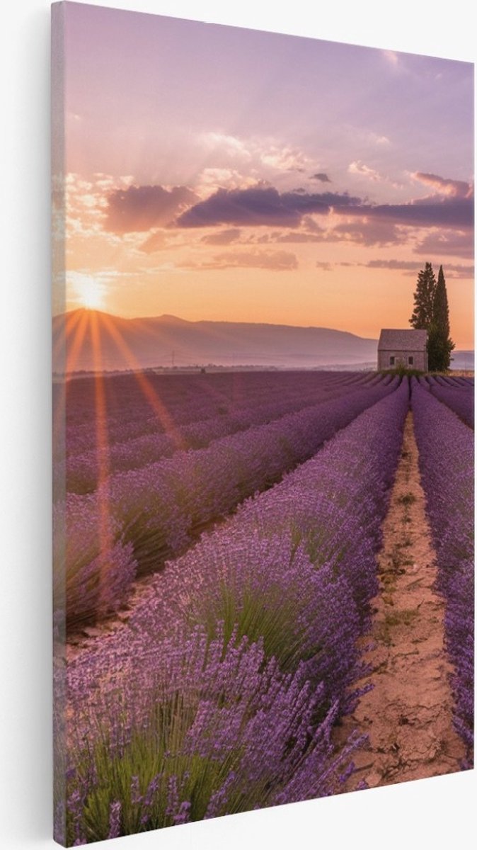Saammp Canvas Schilderij - Groot lavendelveld met huis - Bloemen - Landschap - Natuur - 75x100 - Foto op canvas - Wanddecoratie - Muurdecoratie Woonkamer - Slaapkamer decoratie - Canvas Print Multicolor