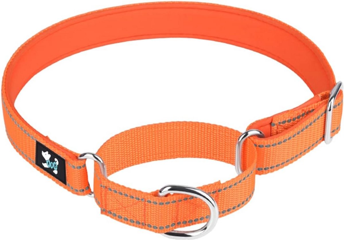 Verstelbare Martingale hondenhalsband - Neopreen gewatteerd voor kleine, middelgrote en grote honden (M, oranje)