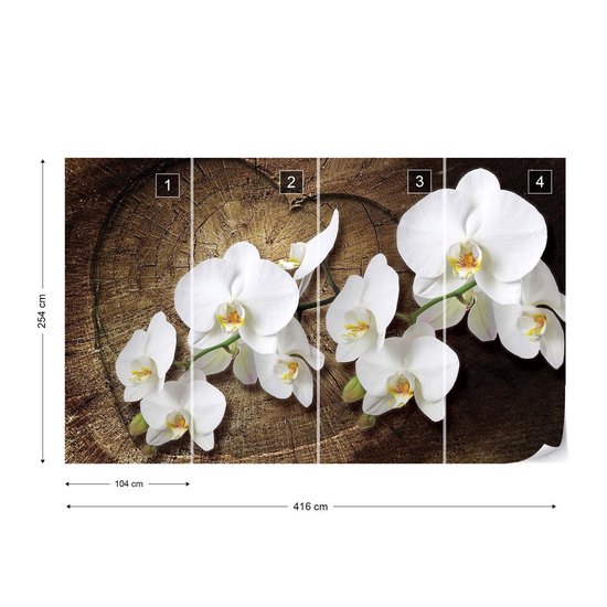 Papier Peint Fleurs  | XXXL - 416 cm x 254 cm | Polaire 130g / m2