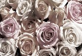 Papier Peint Roses Fleurs  | XL - 208 cm x 146 cm | Polaire 130g / m2