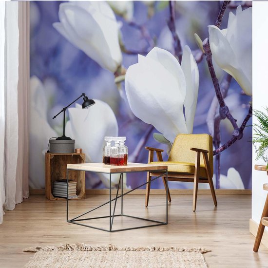 Papier peint photo Fleurs Magnolia Nature | XXXL - 416 cm x 254 cm | Polaire 130g / m2