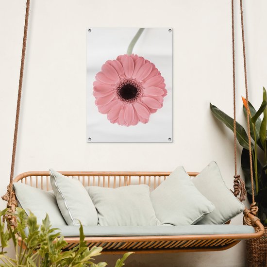 Tableau de jardin Bloem - Rose - Nature - Plante - 60x80 cm - Affiche de jardin - Toile de jardin - Affiche d'extérieur