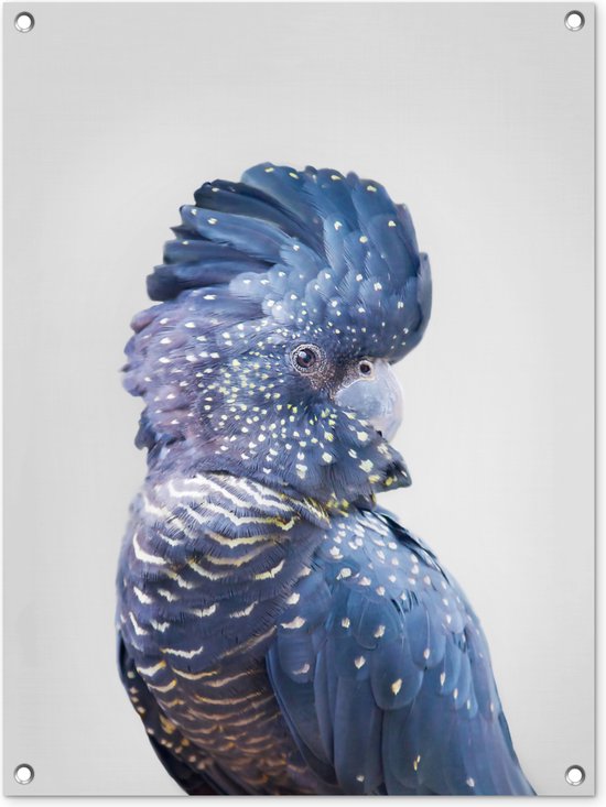 Tableau de jardin Cacatoès - Blauw - Animaux - Nature - 60x80 cm - Poster de jardin
