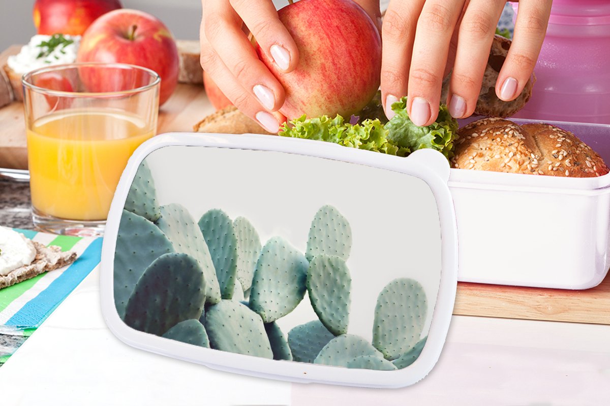 Broodtrommel Wit - Lunchbox - Brooddoos - Cactus - Groen - Plant - Natuur - 18x12x6 cm - Volwassenen
