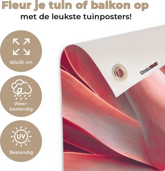 Tuinposter Stilleven - Bladeren - Plant - Roze - 60x30 cm - Tuindoek - Buitenposter
