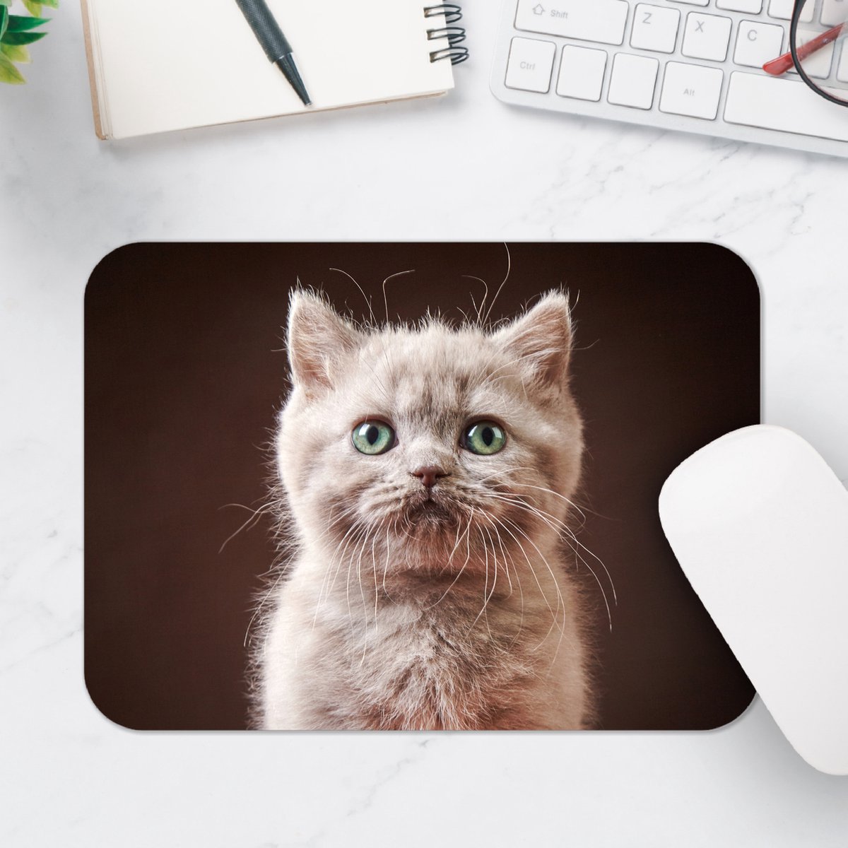 Muismat - Portret Britse Langhaar Kitten - 25x18 cm - 2 mm Dik - Muismat van Vinyl