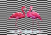Fotobehang - Vlies Behang - Flamingo's op een zwart-witte achtergrond - 416 x 254 cm