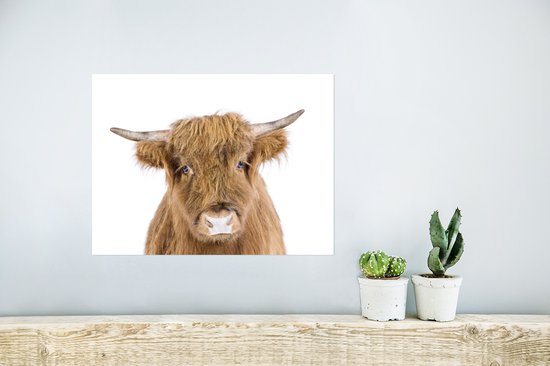 Highlander écossais - Animaux - Marron - Nature