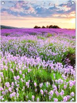 Tuinposter bloemen - Lavendel - Landschap - Zonsondergang - Natuur - Lucht - Tuin - Tuindecoratie - Tuinschilderij voor buiten - Schutting decoratie - 60x80 cm - Schuttingdoek - Tuindoek - Buitenposter