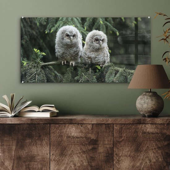 MuchoWow® Peinture sur verre 80x40 cm - Peinture sur verre acrylique - Deux hiboux - Photo sur verre - Peintures