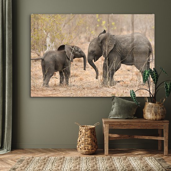 MuchoWow® Peinture sur verre - Deux jeunes éléphants - 150x100 cm - Peintures sur verre acrylique - Photo sur Glas