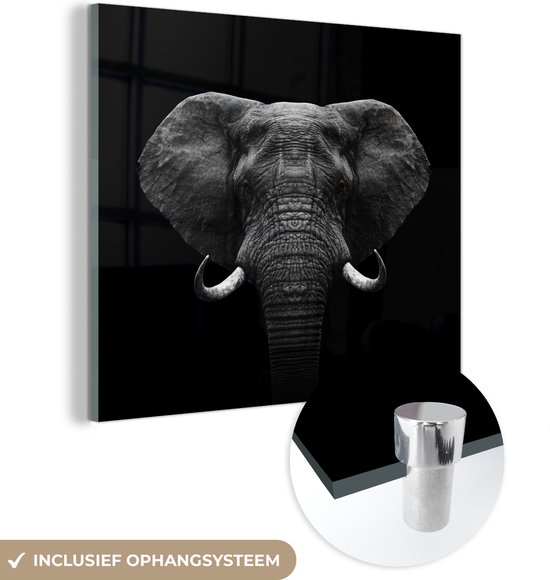 Glasschilderij - Acrylglas - Dieren - Olifant - Zwart-wit - Portret - Foto op glas - 90x90 cm - Wanddecoratie dieren - Glasschilderij olifant - Glasschilderij zwart wit - Muurdecoratie glas
