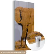 MuchoWow® Glasschilderij 20x40 cm - Schilderij acrylglas - Afrikaanse olifant in het zand - Foto op glas - Schilderijen