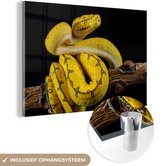 MuchoWow® Peinture sur verre - Serpent - Branche - Jaune - 90x60 cm - Peintures sur verre acrylique - Photo sur Glas