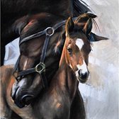 Diamond Painting Paard met veulen 30x30cm. (Volledige bedekking - Vierkante steentjes) diamondpainting inclusief tools