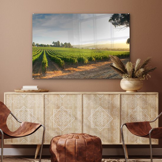 ® Glasschilderij 120x80 cm - Schilderij acrylglas - Wijngaard langs de weg - Foto op glas - Muurdecoratie woonkamer - Wanddecoratie slaapkamer - Schilderijen