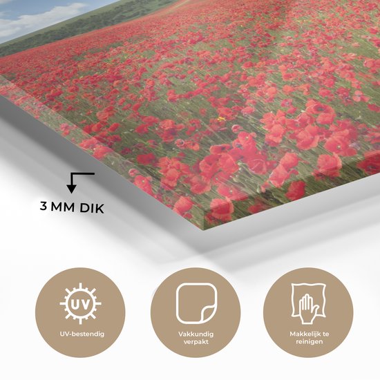 MuchoWow® Peinture sur verre 60x40 cm - Peinture sur verre acrylique - Coquelicots - Fleurs - Ciel - Photo sur verre - Peintures