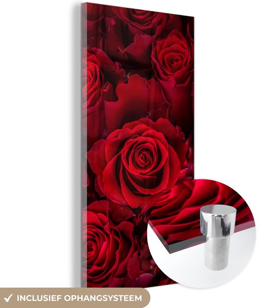 MuchoWow® Glasschilderij 40x80 cm - Schilderij acrylglas - Bloemen - Rozen - Rood - Foto op glas - Schilderijen
