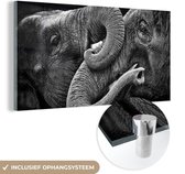 Peintures Plexiglas - Éléphant - Animal - Trompe - 120x60 cm - Peinture sur verre