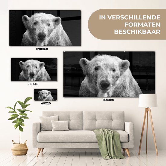 Peinture sur Verre - Ours Polaire - Animal - Zwart - Wit - 40x20 cm - Peintures sur Verre Peintures - Photo sur Glas