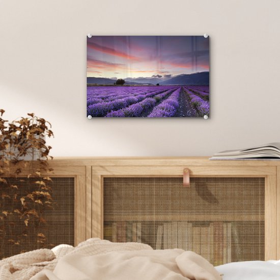 Coucher de soleil sur les lavandes Plexiglas 30x20 cm - petit - Tirage photo sur Glas (décoration murale en plexiglas)