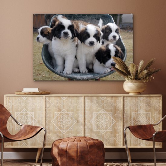 Peinture sur verre - Brouette avec chiots Saint Bernard - 90x60 cm - Peintures sur Verre Peintures - Photo sur Glas