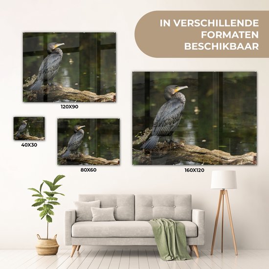 MuchoWow® Peinture sur Verre - Vogel - Branche - Water - Animaux - Cormoran - 160x120 cm - Peintures sur Verre Acrylique - Photo sur Glas