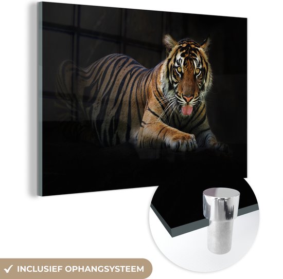 MuchoWow® Glasschilderij 120x80 cm - Schilderij acrylglas - Tijger - Zwart - Rust - Foto op glas - Schilderijen