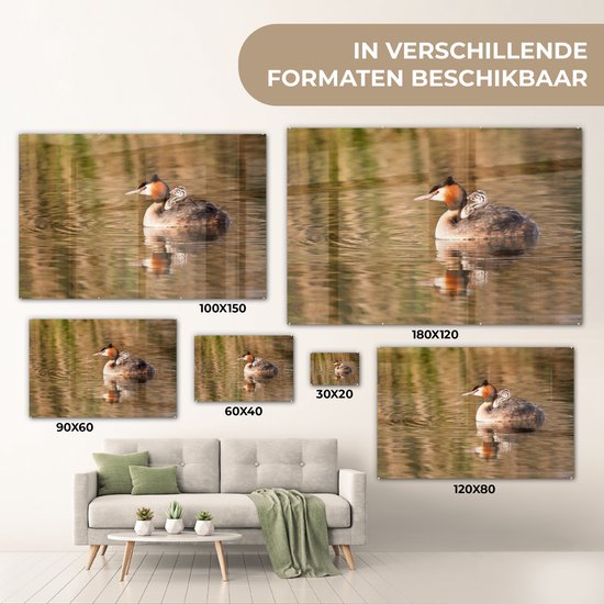 Peinture sur verre - Grèbe nage dans l'eau avec ses petits - 60x40 cm - Peintures sur Verre Peintures - Photo sur Glas