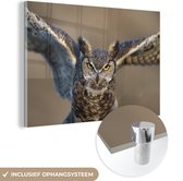 MuchoWow® Glasschilderij 120x80 cm - Schilderij acrylglas - Vliegende Amerikaanse oehoe - Foto op glas - Schilderijen